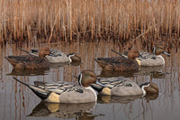 Avian-X Topflight Pintail Decoys